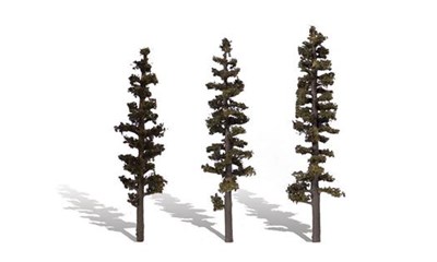 6''-7'' Standing Timber 3/Pk