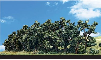 1''-2'' Hedgerow