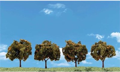 2''-3'' Orange Trees 4/Pk