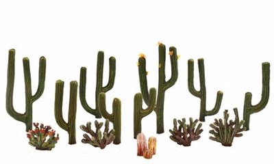 1/2-2 1/2'' Cactus Plants 13/Pk