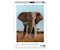 Afrikanischer Elefant (Donal Boyd)