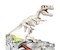 Archeo Ludic T-Rex Fluorescence