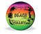 Volley Rainbow Ball