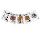 Pokerchips, Aluminiumkoffer