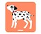 Les Animaux