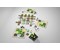 Minecraft Builders & Biomes