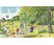 tiptoi® WWW Komm mit in den Wald (Band 8)