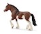 Clydesdale Stute