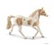 Paint Horse Stute