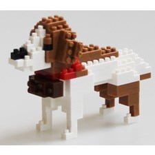 Bernhardiner Hund / mountain st. bernhard