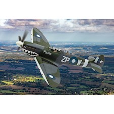 Supermarine Spitfire T.9 TE308 (G-AWGB) A58 'Grey Nurse' Sharkmouth
