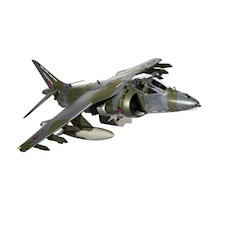 BAe Harrier GR9A  ZG506/P77 Ninja 1   Final Flight Retirement scheme  2010