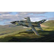 Panavia Tornado GR.1  Johnnie Walker  Brügge (D)