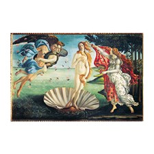 Museum Collection, Geburt der Venus