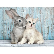 Katze & Hase