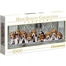 Panorama Hunde Beagles