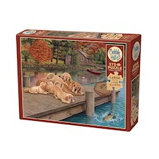 Golden Retriever am Steg