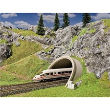 ICE- /Strassen-Tunnelportal