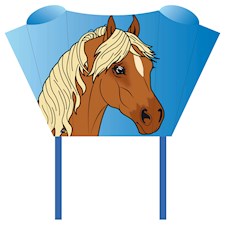Drachen Sleddy Pony 76x50 cm, ab 5 Jahren, inkl. Spule mit 60 m Schnur