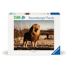 Der Löwe. Der König der Tiere