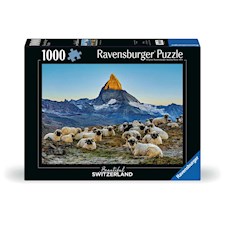 Meet the Sheep Zermatt