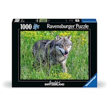 Wolf im Tierpark Goldau