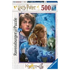 in Hogwarts