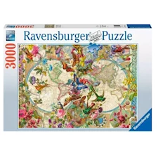 Weltkarte mit Schmetterlingen