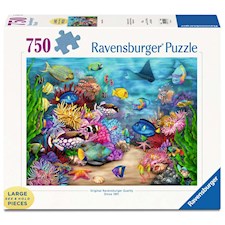 Tropisches Riffleben