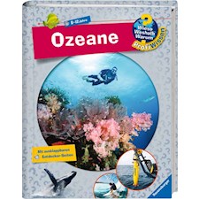 WWW ProfiWissen 19: Ozeane - F17