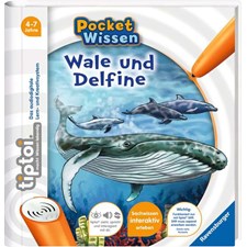 Pocket Wissen: Wale und Delfine
