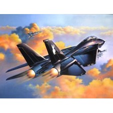 Grumman F-14A Black Tomcat