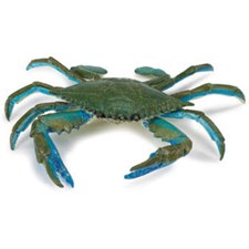 Blaue Krabbe