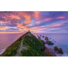 Nugget Point Lighthouse New Zealand