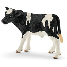 Holstein-Kalb