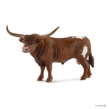 Texas Longhorn Bulle