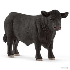 Black Angus Bulle