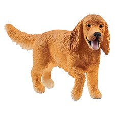 Englischer Cocker Spaniel