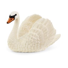 Schwan