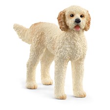 Goldendoodle Hund