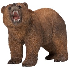 Grizzlybär