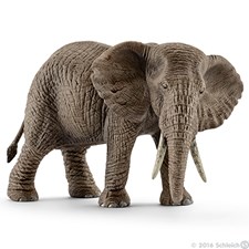 Afrikanischer Elefantenkuh