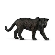 Schwarzer Panther