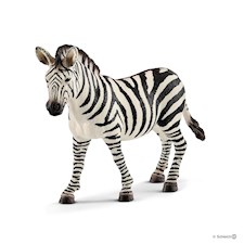 Zebra Stute