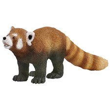 Roter Panda