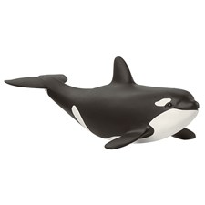 Orka Junges