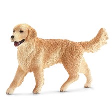 Golden Retriever Hündin