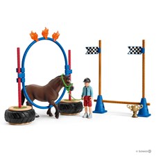 Pony Agility Rennen