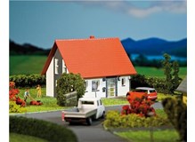 Einfamilienhaus (grau)