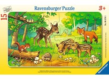 Tierkinder des Waldes
